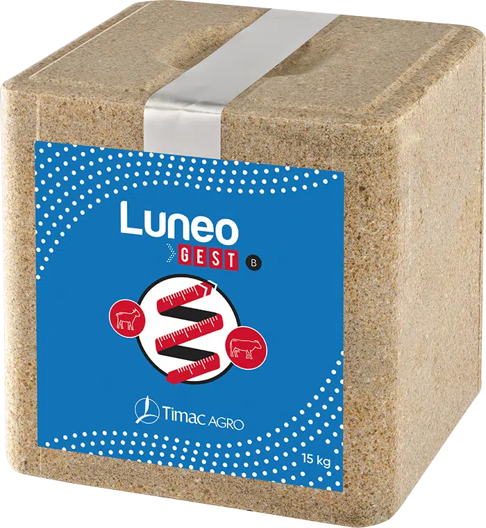 Luneo Gest B