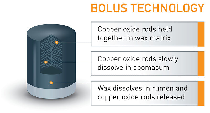 Agrimin 24 7 Copper Cattle Bolus