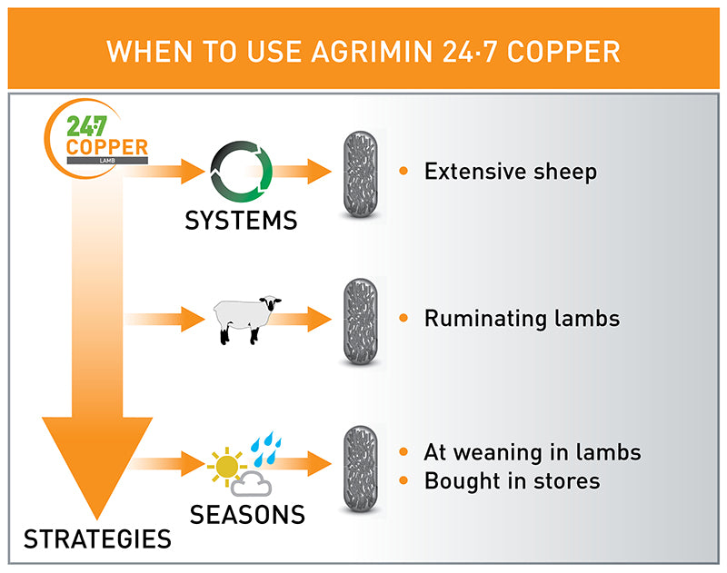 Agrimin 24 7 Copper Lamb Bolus