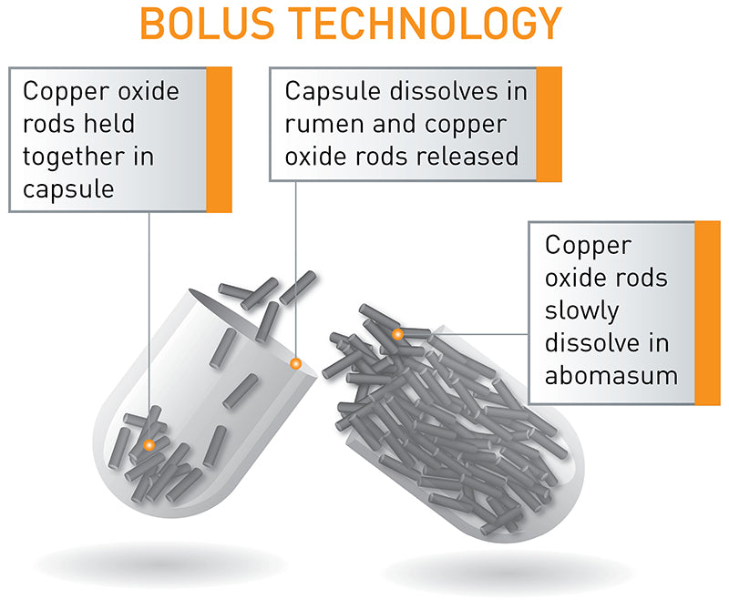 Agrimin 24 7 Copper Sheep Bolus