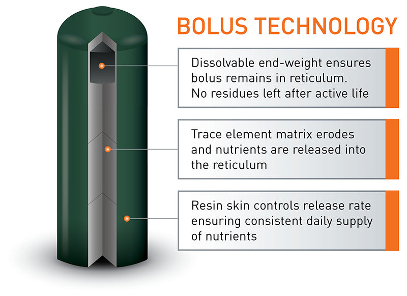 Agrimin All-Trace Cattle Bolus