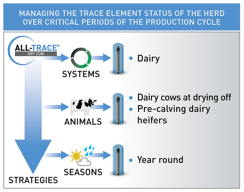 Agrimin All-Trace Dry Cow Bolus