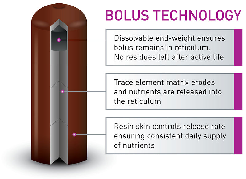 Agrimin All-Trace High Iodine Cattle Bolus