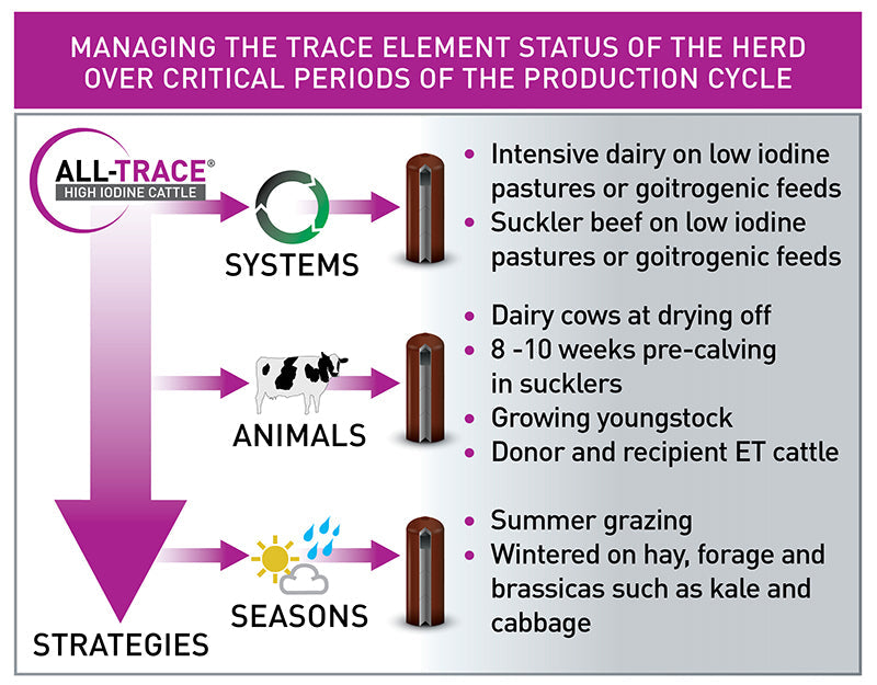 Agrimin All-Trace High Iodine Cattle Bolus