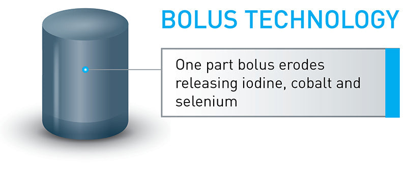 Agrimin 24 7 Smartrace Lamb Bolus