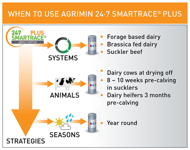 Agrimin 24 7 Smartrace Plus Adult Cattle Bolus